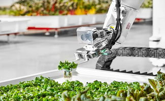 Iron Ox利用AI和机器人使农业产量比传统农场增加30倍